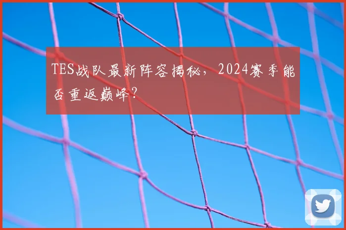 TES战队最新阵容揭秘,2024赛季能否重返巅峰?