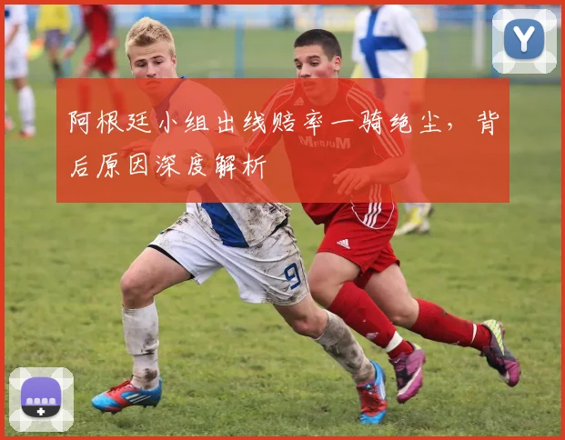 阿根廷小组出线赔率一骑绝尘,背后原因深度解析