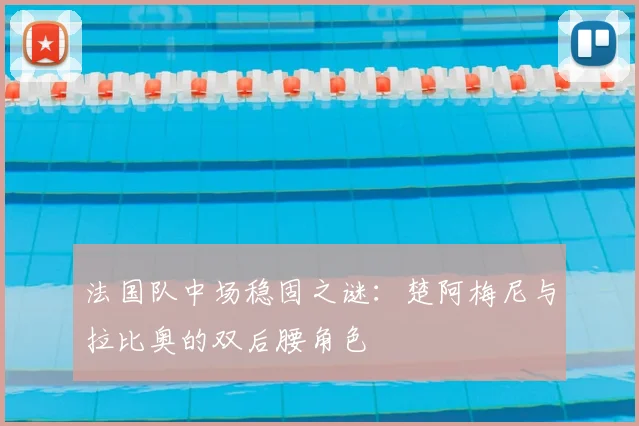 法国队中场稳固之谜：楚阿梅尼与拉比奥的双后腰角色